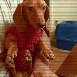 Meet your Posher, Pamela